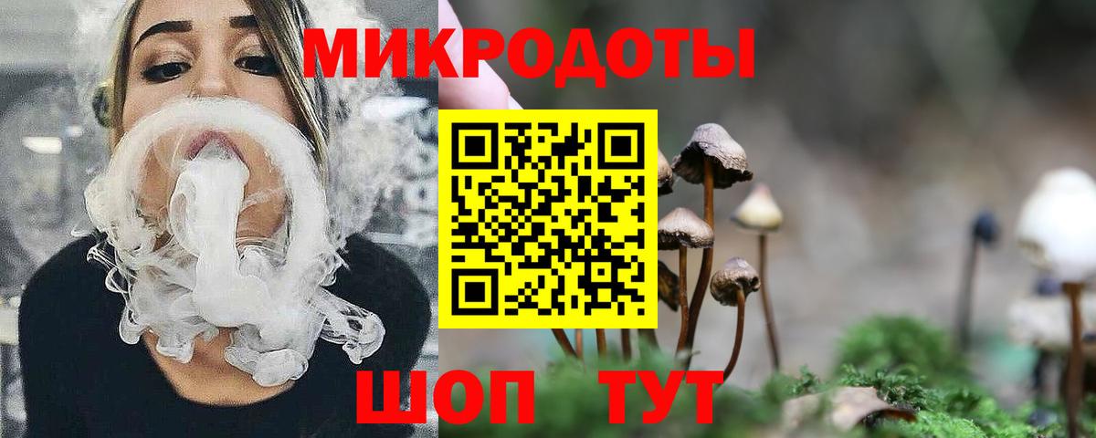купить  цена  Галлюциногенные грибы GOLDEN TEACHER  Вход с VPN  Магадан 